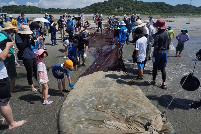浜名湖の伝統漁体験 ｜ 海と日本PROJECT【日本財団】