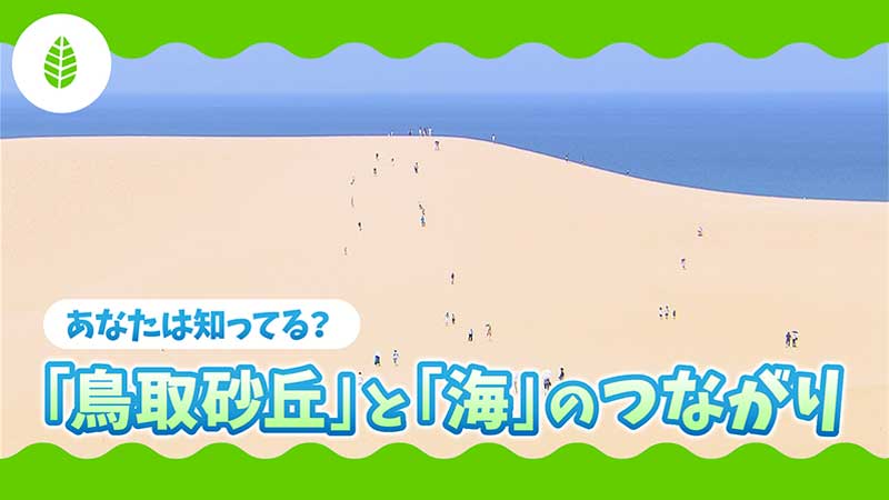 あなたは知ってる？「鳥取砂丘」と「海」のつながり