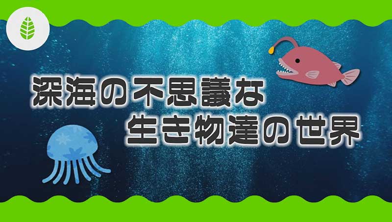 深海の不思議な生き物達の世界