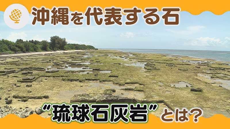 沖縄を代表する石 “琉球石灰岩”とは？
