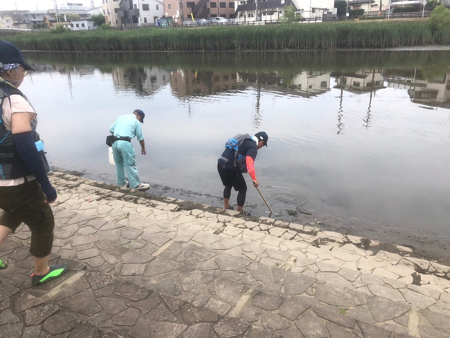 草加市カヌー協会(草加パドラーズ)