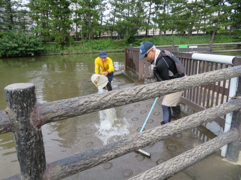 草加市カヌー協会(草加パドラーズ)