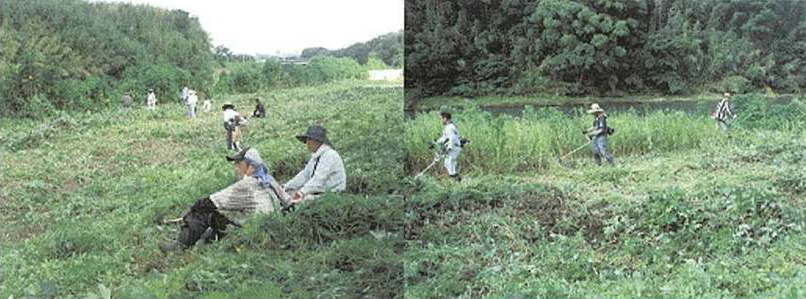 菊陽町