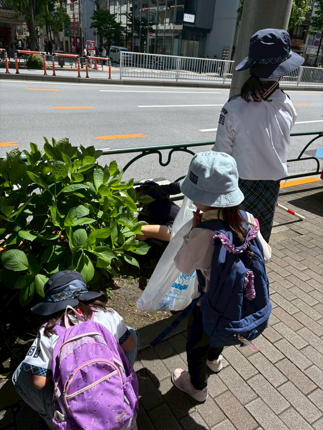 ガールスカウト東京都第155団