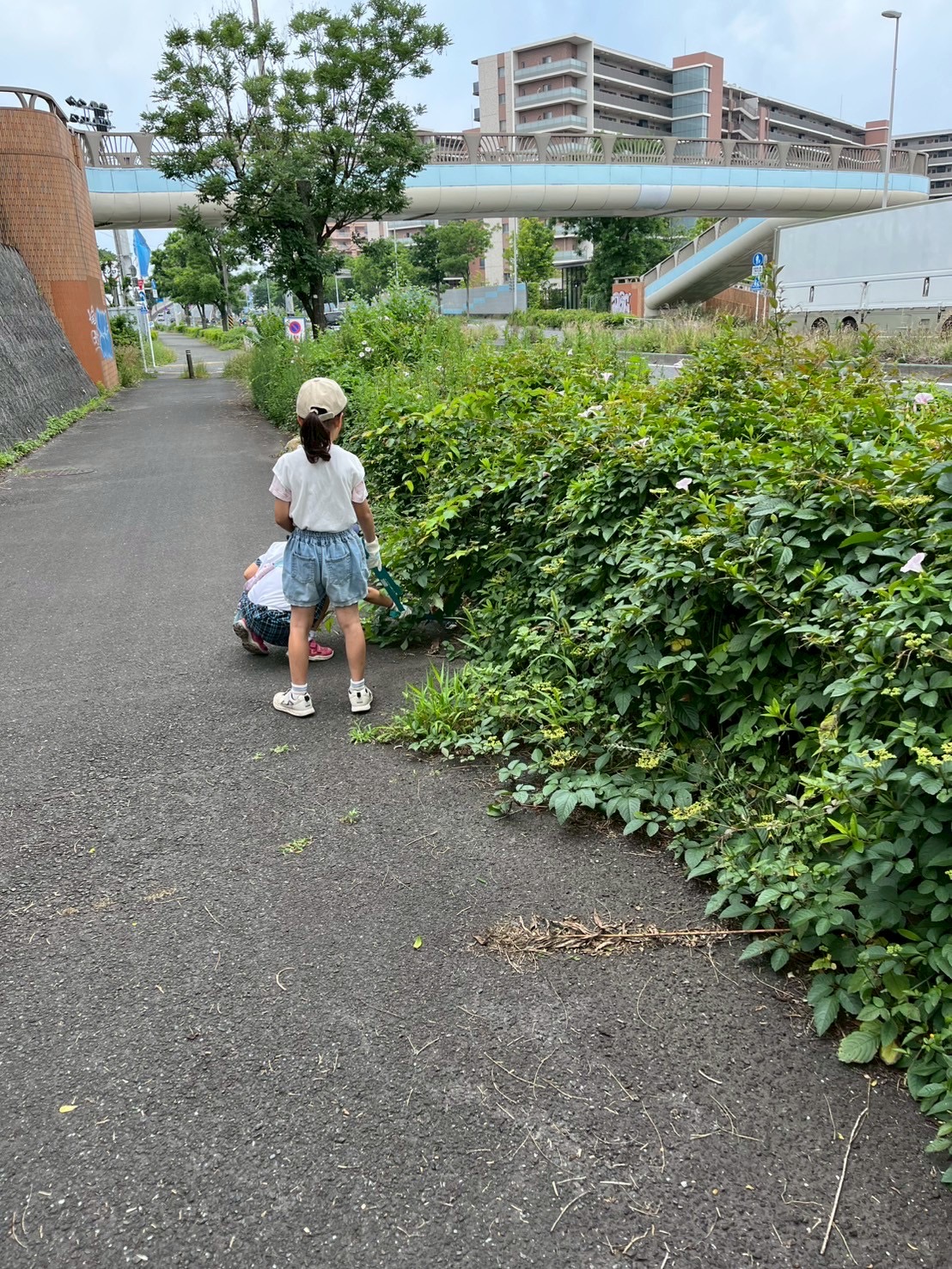 ガールスカウト東京都第126団