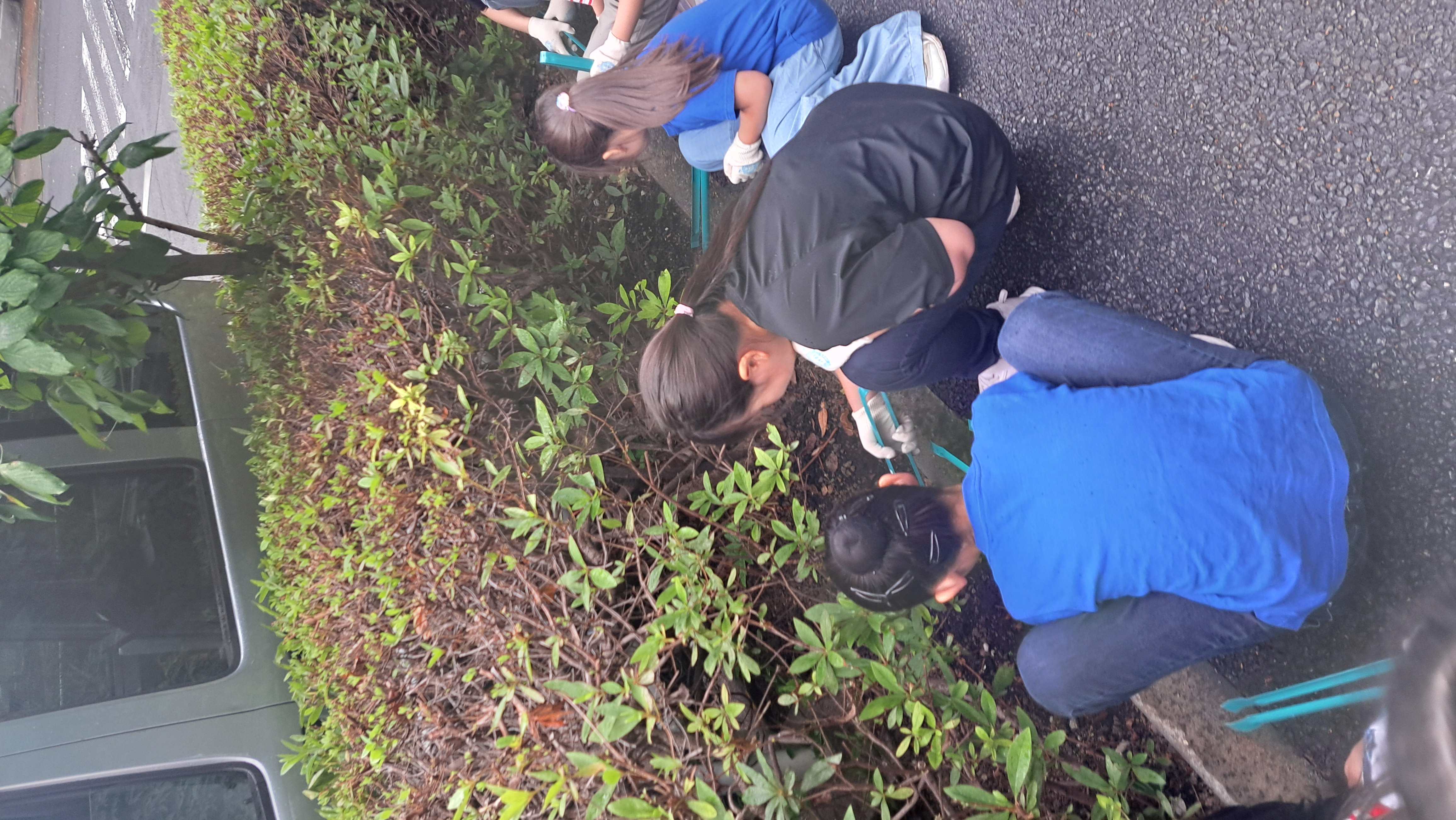 ガールスカウト東京都連盟第2団