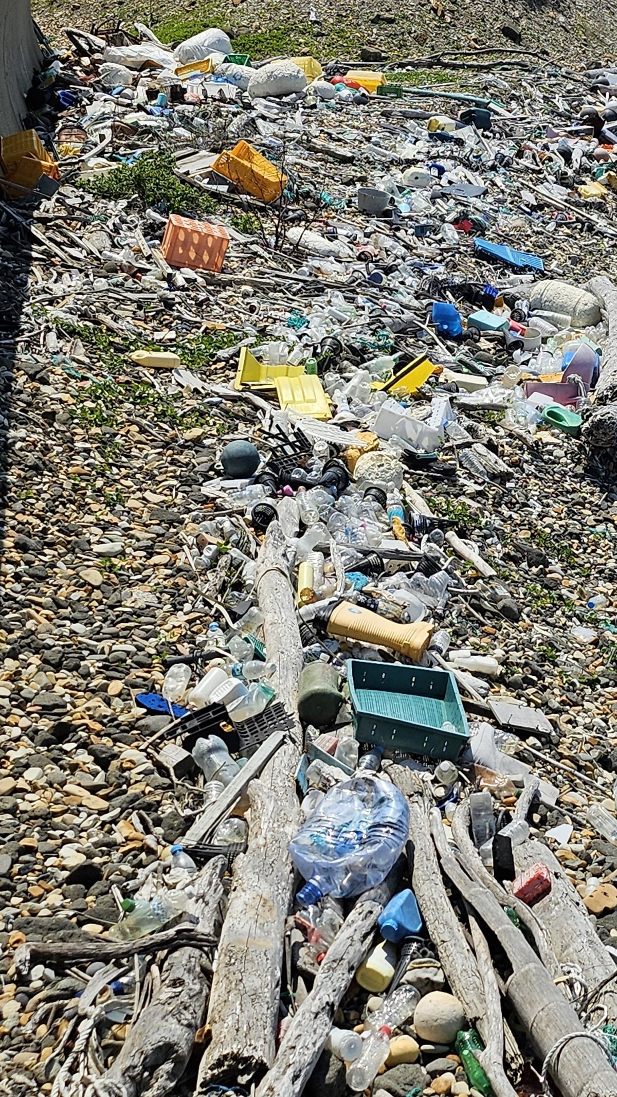 ギフトポケット