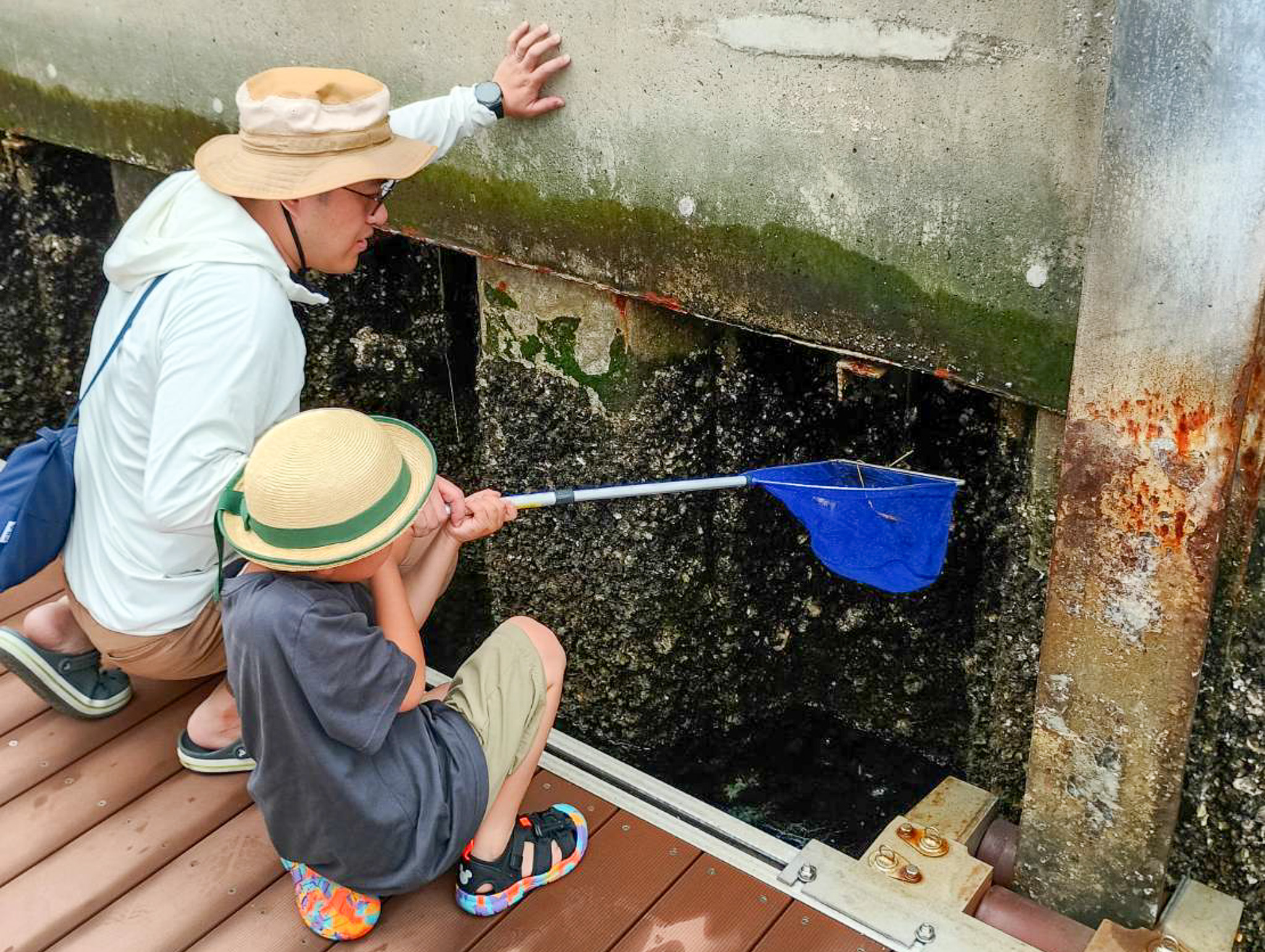 湘南サニーサイドマリーナ株式会社