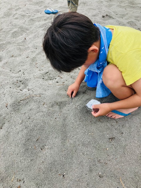 NPO法人オーシャンファミリー