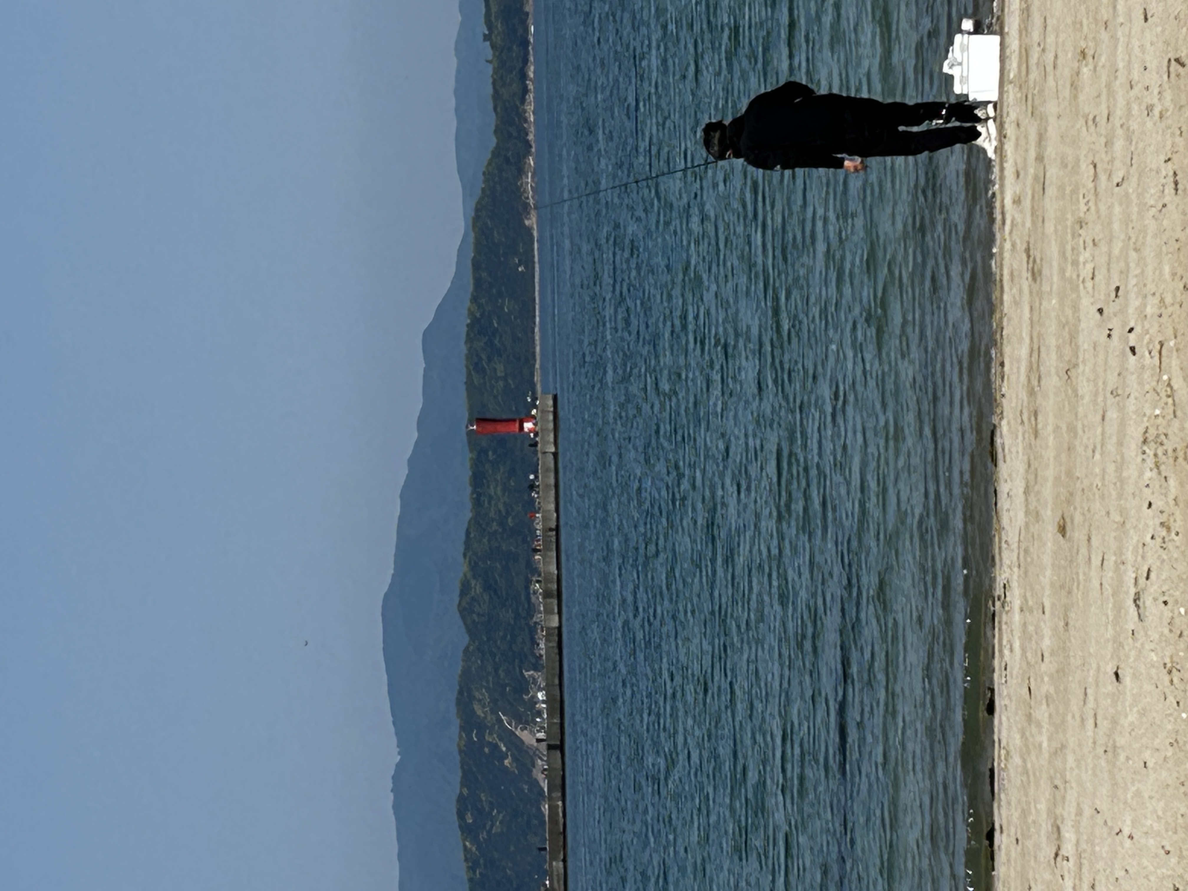 ビーチクリーン加太天理