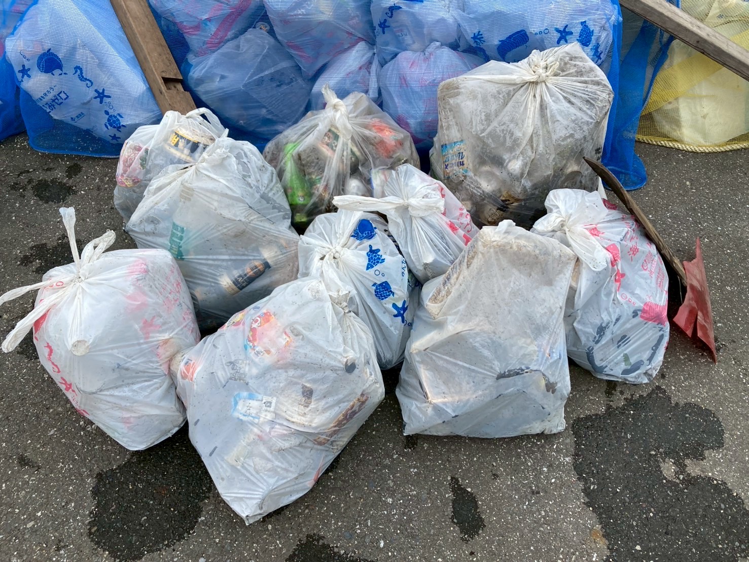 NPO法人草加市カヌー協会(草加パドラーズ)