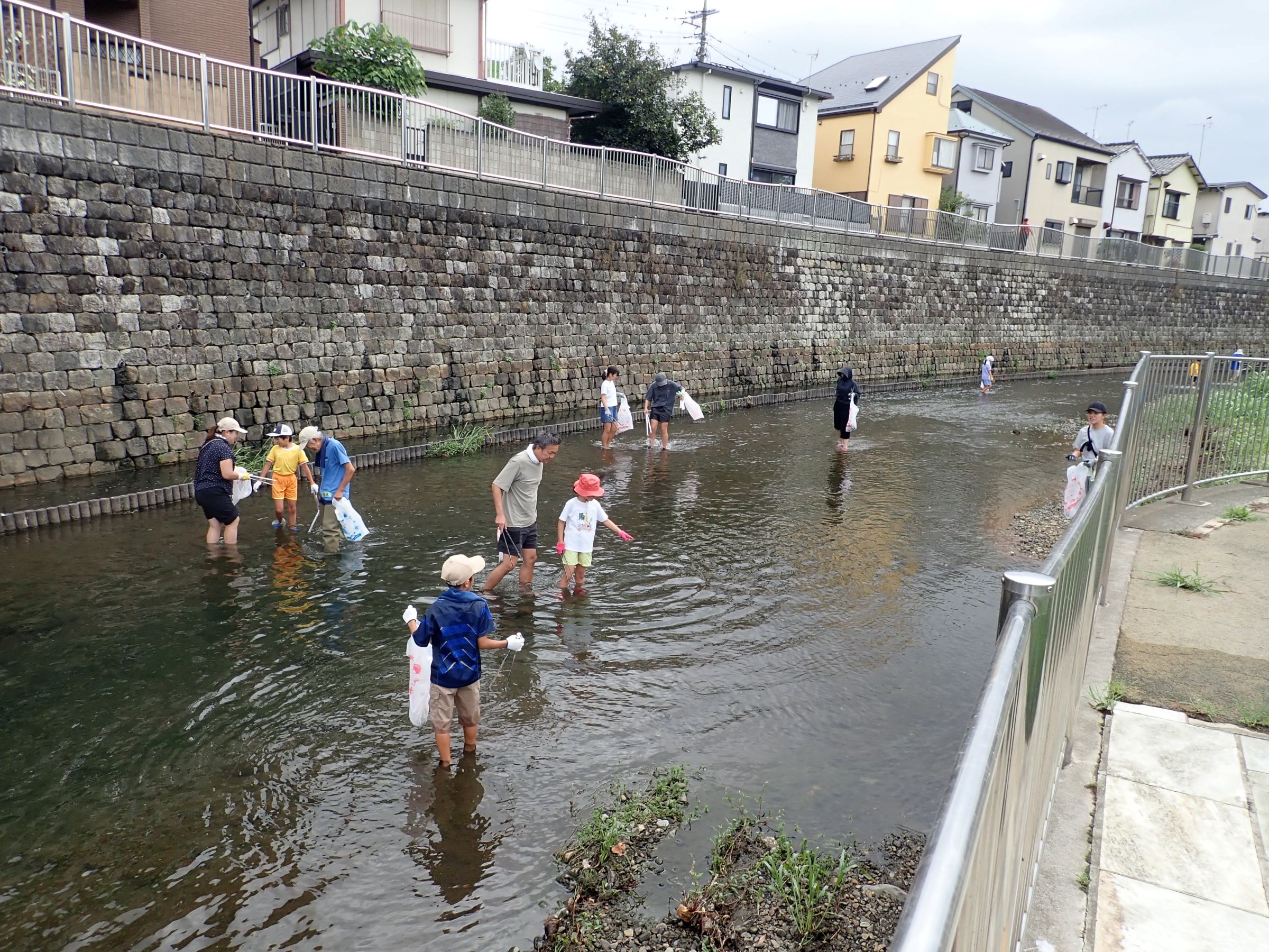 すぎなみ環境ネットワーク