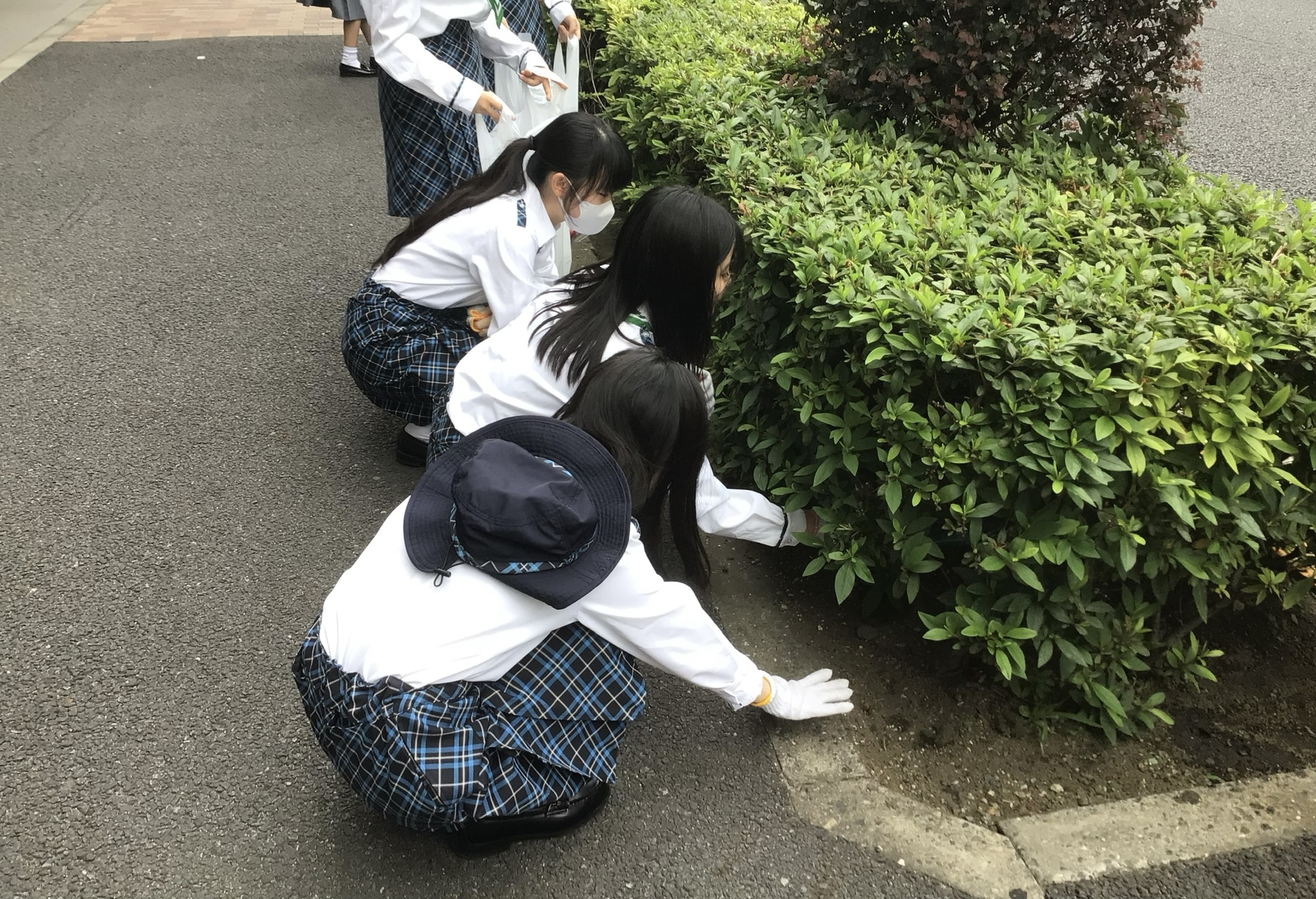 ガールスカウト東京1団