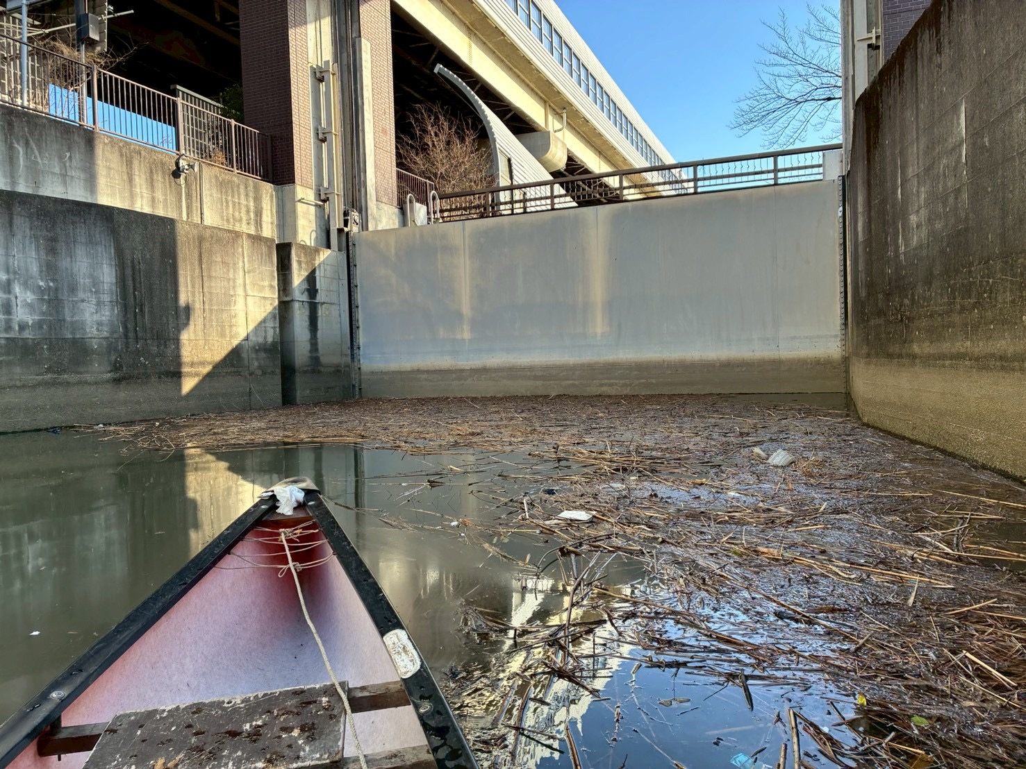 NPO法人草加市カヌー協会(草加パドラーズ)