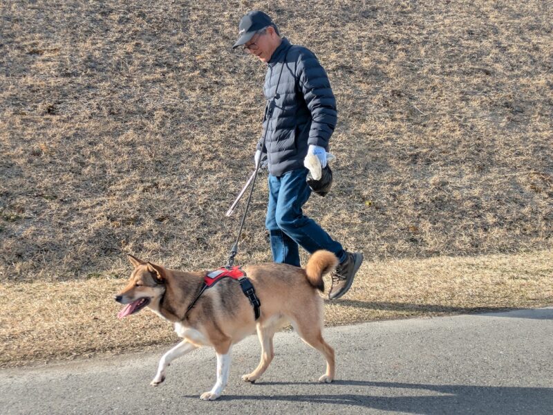 一関保健福祉環境センター