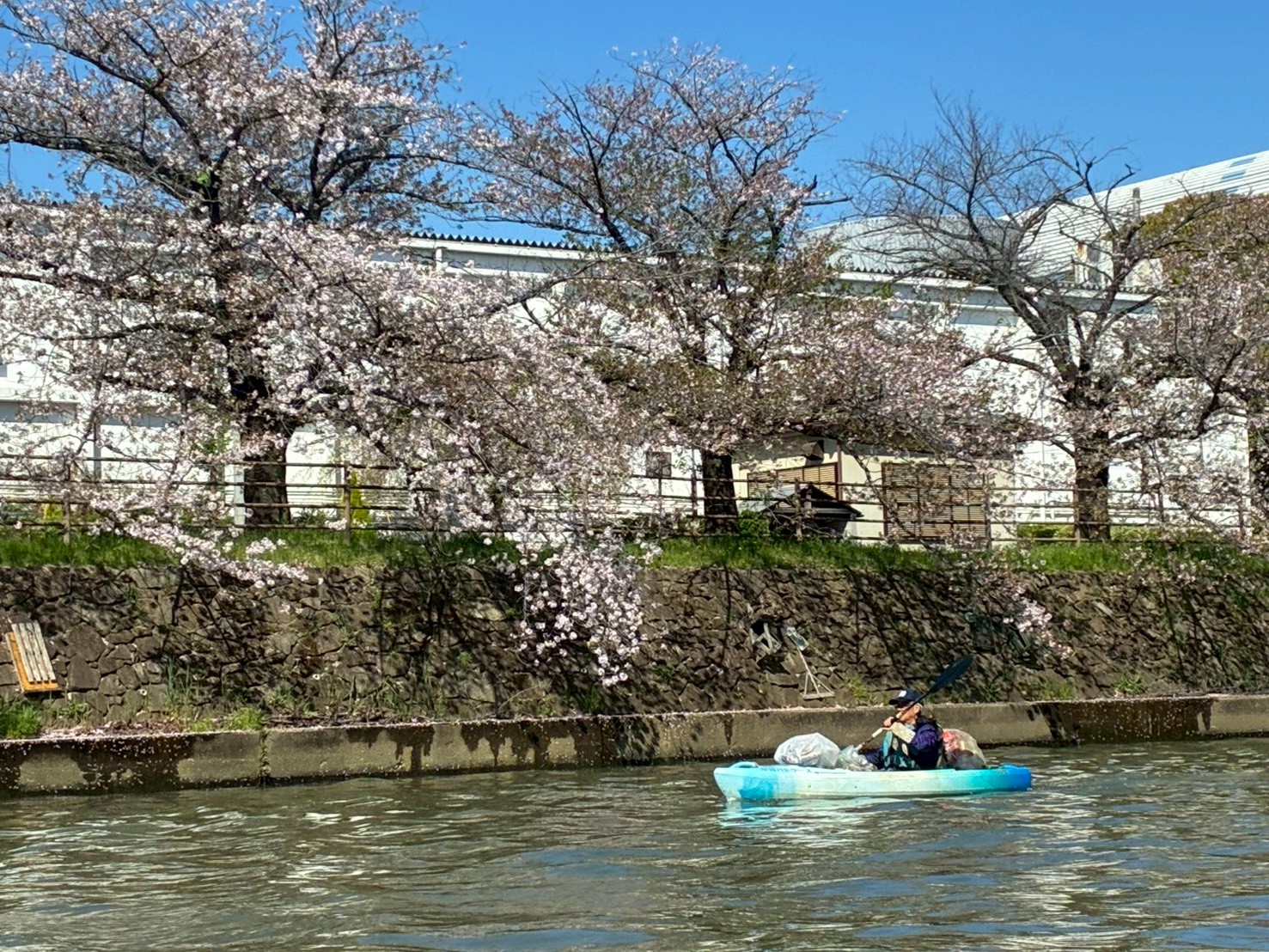 NPO法人草加市カヌー協会(草加パドラーズ)