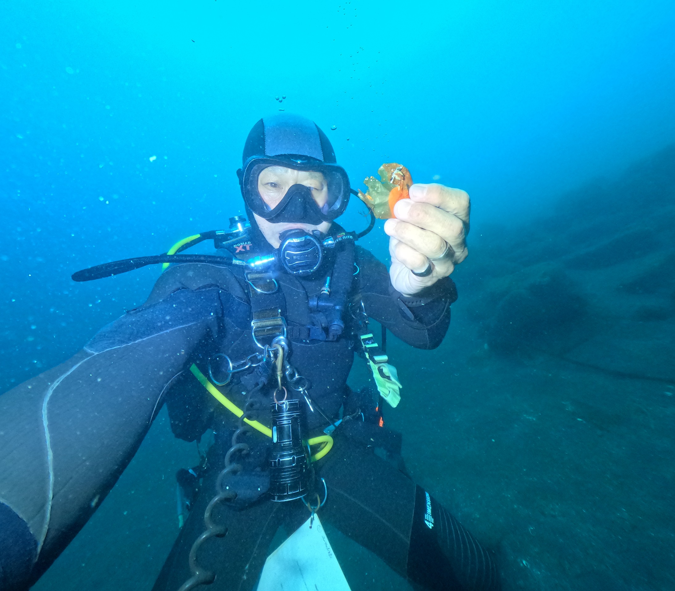 DIVE TERRY’S