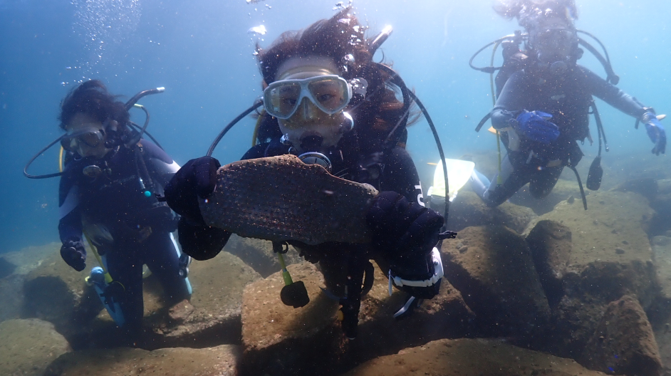 DIVE TERRY’S