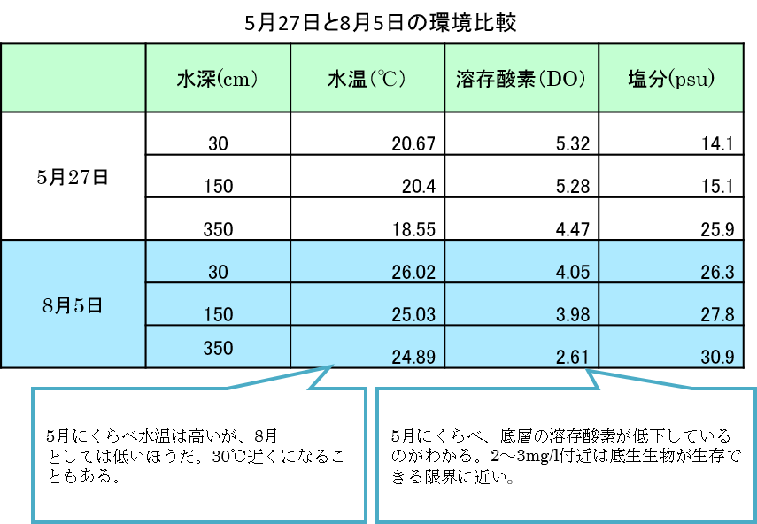 海遊館で観察 大阪湾を知ろう 海と日本project 海と日本project 日本財団