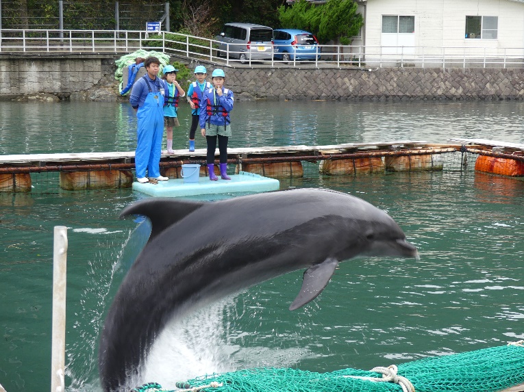 水族館のお仕事をしよう 静岡県 Part2 海と日本project 海と日本project 日本財団