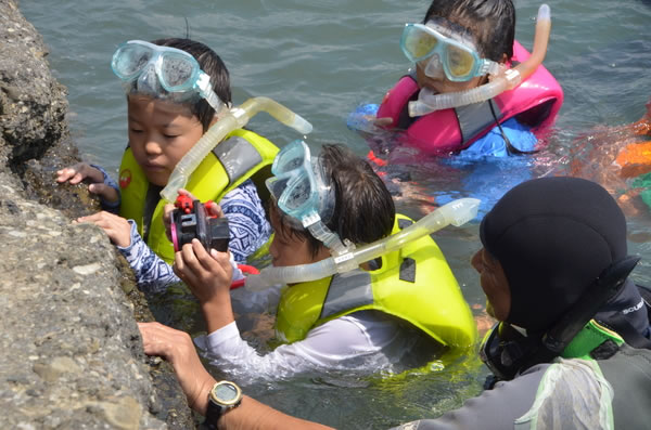 水中カメラマンのお仕事をしよう！＠千葉県 　〜海と日本PROJECT〜
