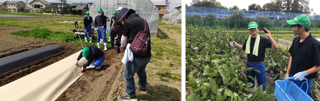 秋田の高校生たちが脱プラ農業に挑戦。研究成果を多くの農家さんにお伝えしたい！
