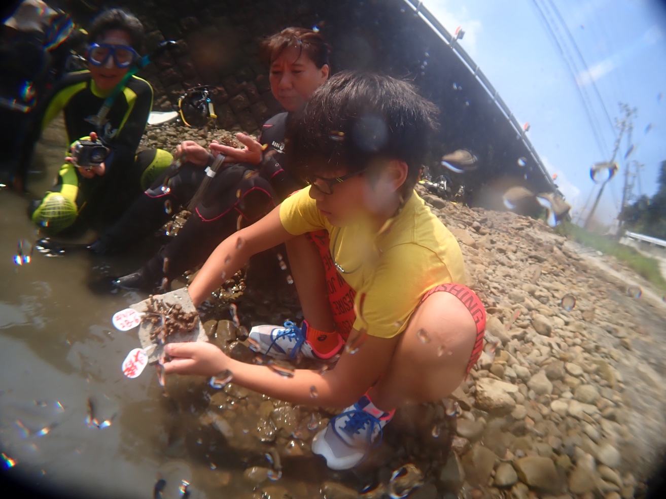 子どもたちとダイバーがタッグを組んでサンゴの再生を研究＆観察-1