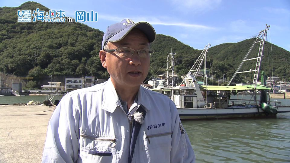 瀬戸内海の日生町漁協はアマモ場再生活動の先駆け