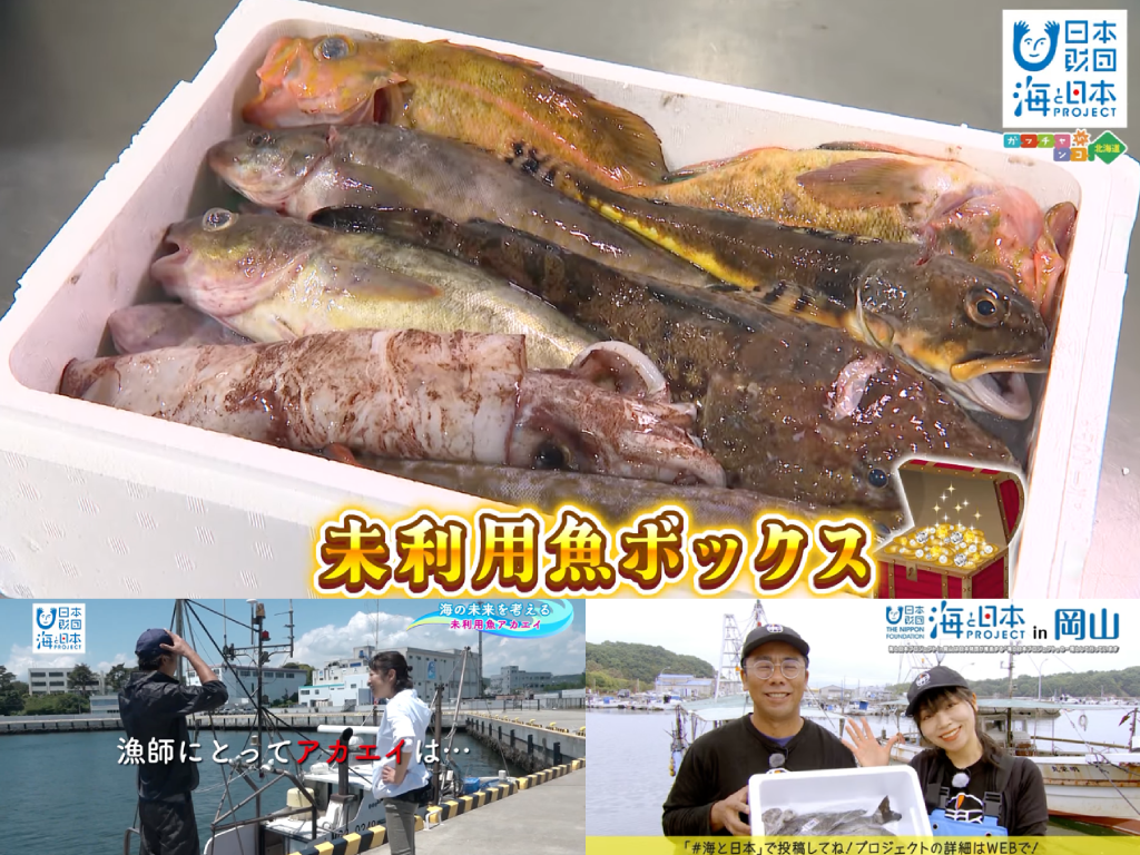 実は美味！知る人ぞ知る隠れた海の恵みをお届け！