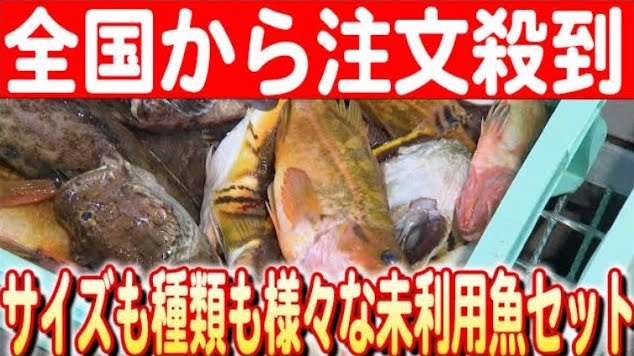 魚好きから大人気！羅臼の魚たちを詰め合わせた「未利用魚ボックス」を通信販売