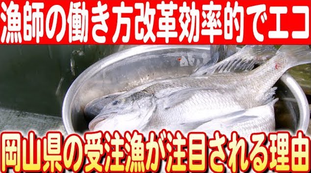 国内外から注目を集める「受注漁」とは？海にも人にもやさしいサステナブル漁