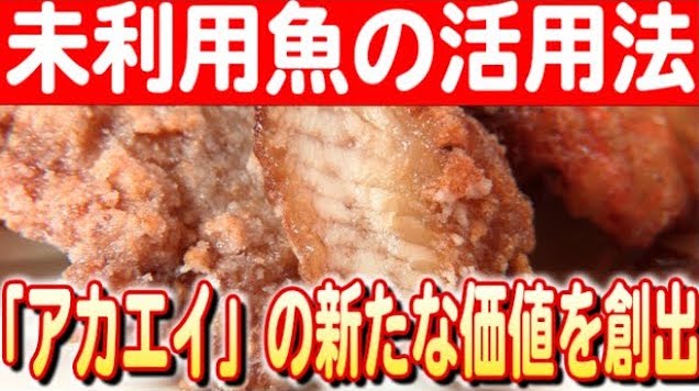 宮城の海の厄介者「アカエイ」をおいしく味わう商品＆レシピ開発に奮闘中！