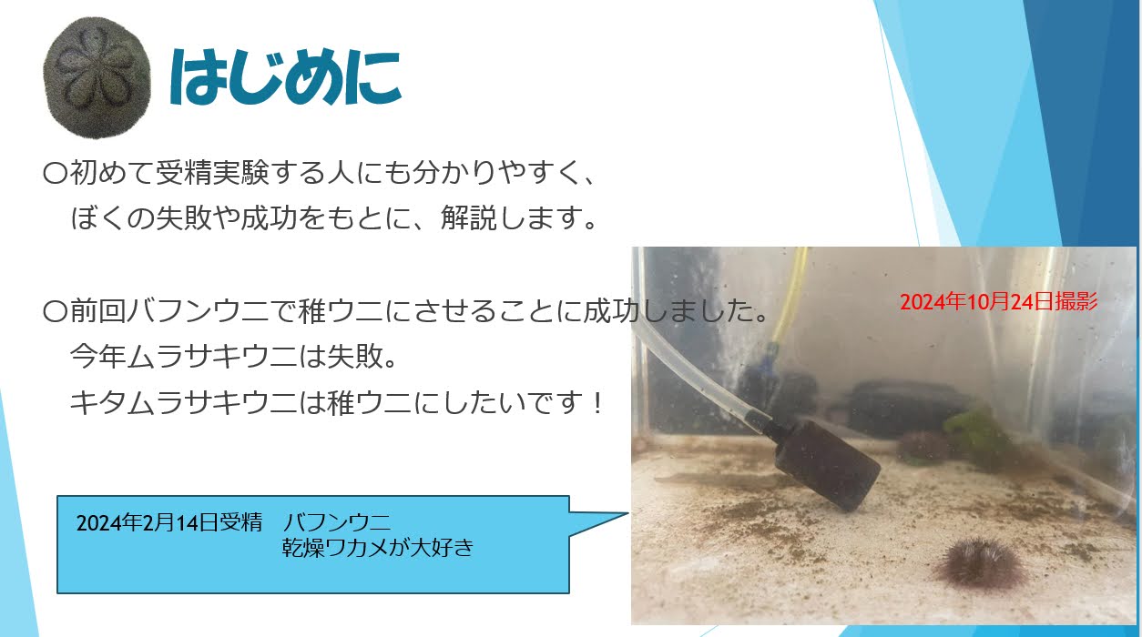 家庭から参加できる「全国一斉ウニの発生体験」イベント03