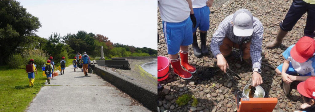 5/23 海とたわむれ、自然とつながる――成ヶ島での生き物観察授業