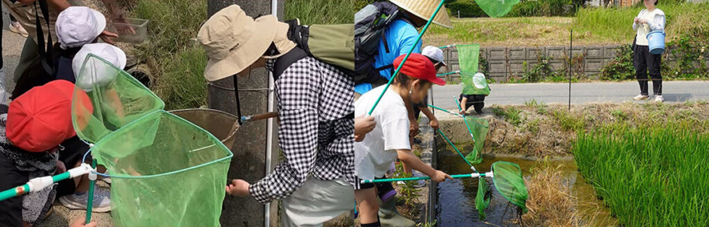 第1回ちどりからはじまる「海と環境」出前授業 田んぼは小さな水族館!—中田小学校で授業を実施しました