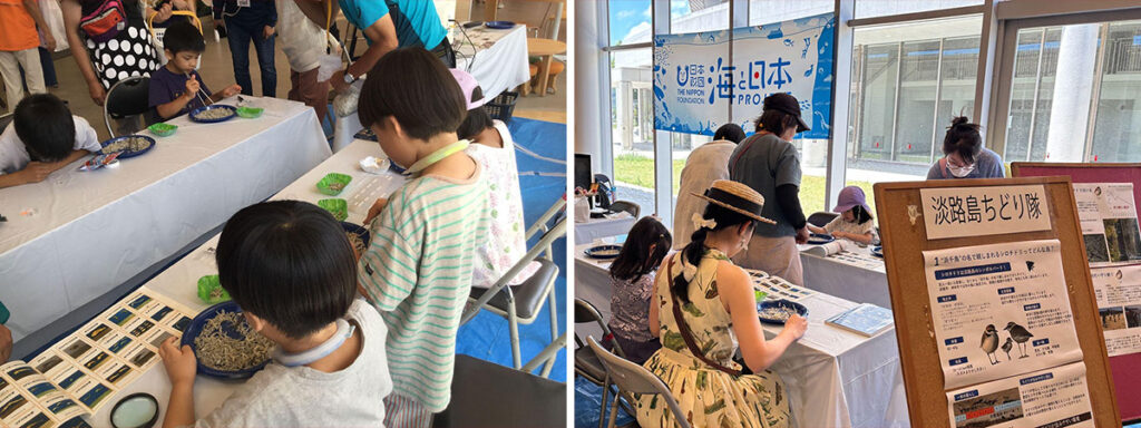 「淡フェス2025」出展。シロチドリの展示とチリメンモンスターを探そうワークショップを開催!