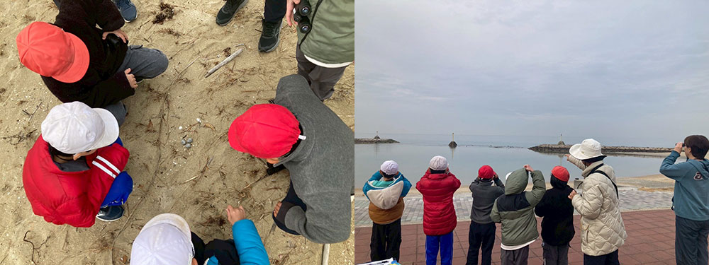 ちどりからはじまる「海と環境」出前授業 —淡路市の小学校で授業を実施しました